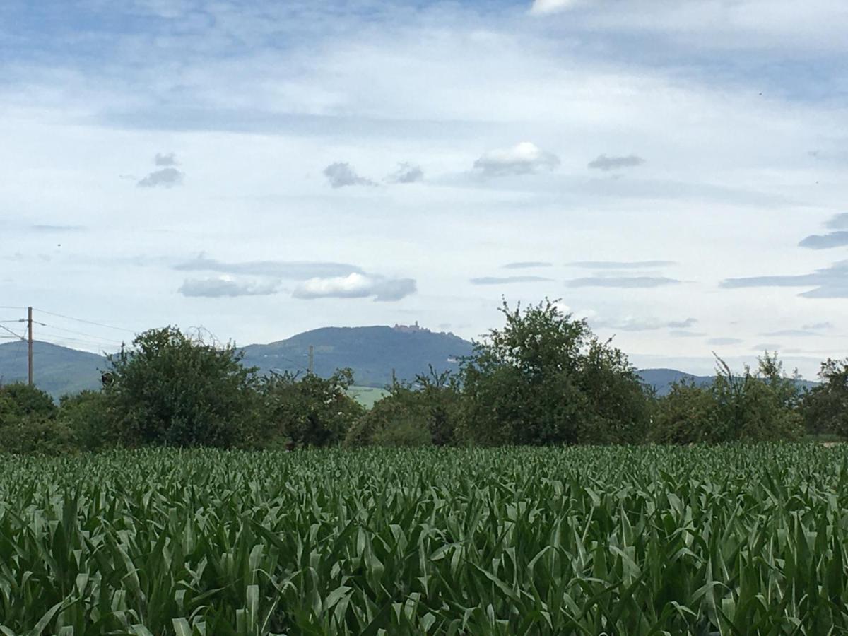 Gite D'Alsace L'Escale Ostheim Esterno foto