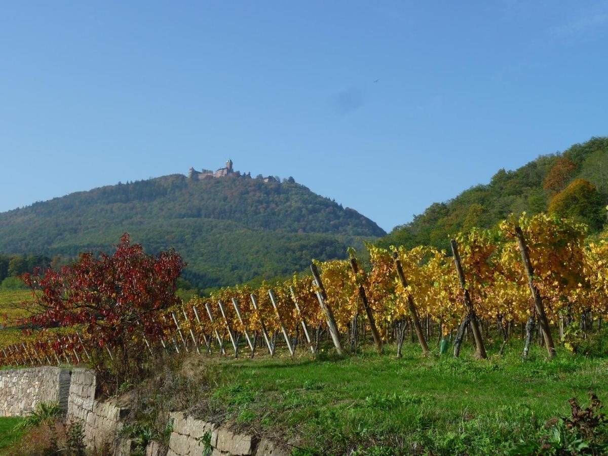 Gite D'Alsace L'Escale Ostheim Esterno foto